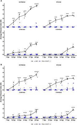 Inactivation of tomato WAT1 leads to reduced susceptibility to Clavibacter michiganensis through downregulation of bacterial virulence factors